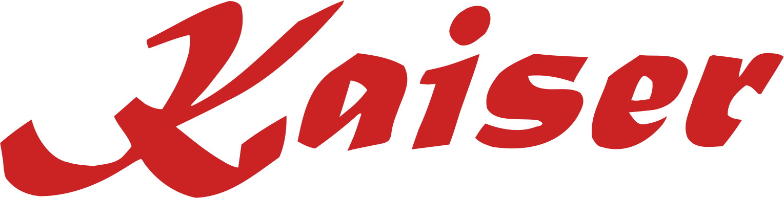 Ремонт стиральных машин Kaiser в Москве